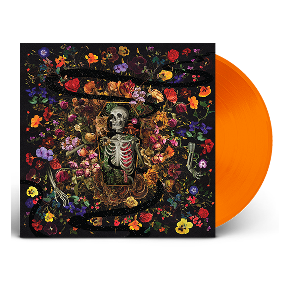 Half Life Orange Crush LP